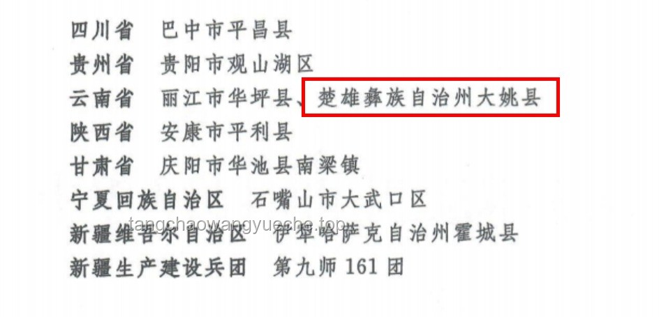**从“神似傅首尔”到反义词爆红：创意命名的创新思维之旅**